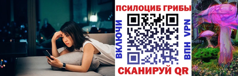 Купить  Хабаровск  Галлюциногенные грибы прущие грибы 